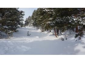 photo coins arrondis